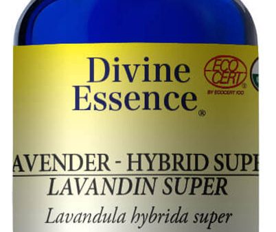 DIVINE ESSENCE Lavender Hybrid Super (Organic - 30 ml) For Sale