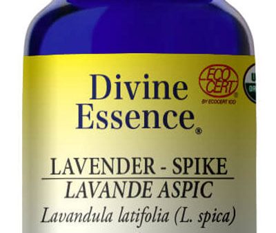 DIVINE ESSENCE Lavender - Spike (Organic - 15 ml) For Sale