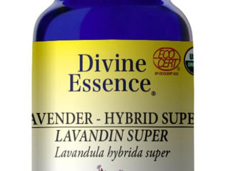 DIVINE ESSENCE Lavender Hybrid Super (Organic - 15 ml) on Sale