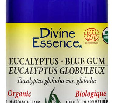 DIVINE ESSENCE Eucalyptus - Blue Gum (Organic - 100 ml) Discount