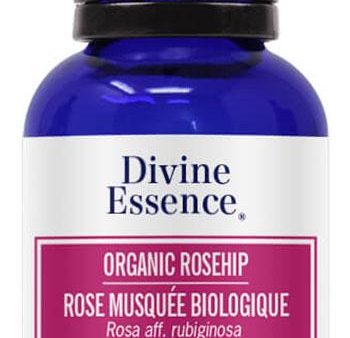 DIVINE ESSENCE Rosehip (Organic - 100 ml) For Discount