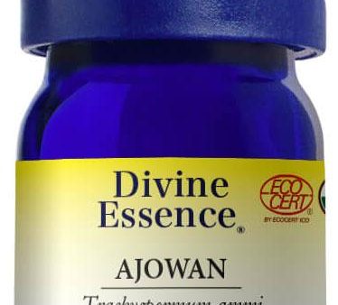 DIVINE ESSENCE Ajowan (Organic - 5 ml) Online Sale