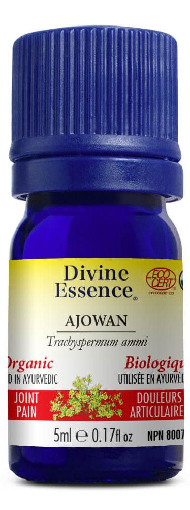 DIVINE ESSENCE Ajowan (Organic - 5 ml) Online Sale