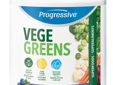 PROGRESSIVE VegeGreens (Blueberry - 530 gr) Online now