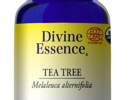 DIVINE ESSENCE Tea Tree (Organic - 15 ml) For Discount