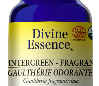 DIVINE ESSENCE Wintergreen - Fragrant (Organic - 15 ml) Online