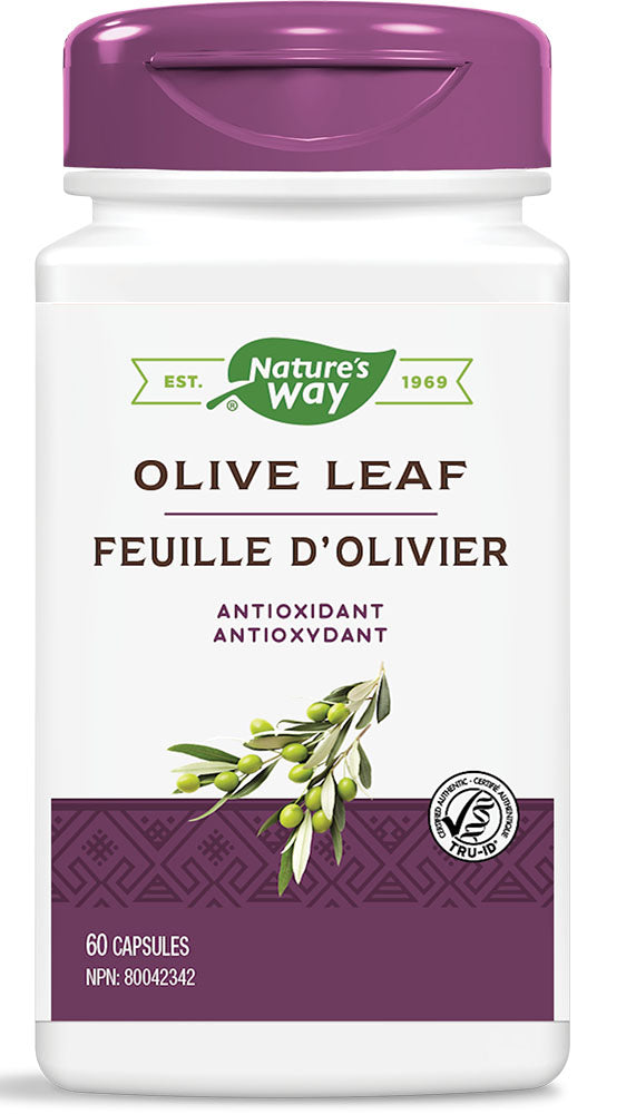 NATURE S WAY Olive Leaf (60 caps) Supply