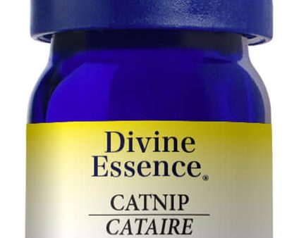 DIVINE ESSENCE Catnip (Wild - 5 ml) Sale