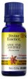 DIVINE ESSENCE Anise - Star (Organic - 15 ml) Fashion