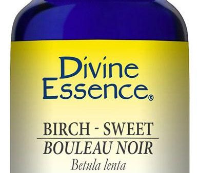 DIVINE ESSENCE Birch - Sweet (Organic - 15 ml) For Sale