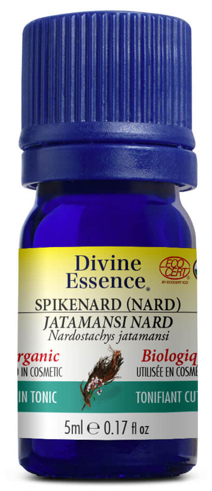 DIVINE ESSENCE Spikenard (Nard - Organic - 5 ml) on Sale