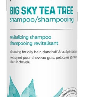 PRAIRIE NATURALS Big Sky Tea Tree Shampoo (500 ml) Online Hot Sale