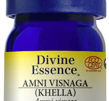 DIVINE ESSENCE Ammi Visnaga (Khella - Organic - 5 ml) Online Hot Sale