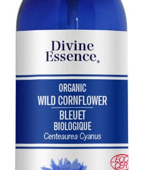 DIVINE ESSENCE Wild Cornflower (Organic - 110 ml) For Sale