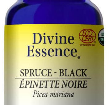 DIVINE ESSENCE Spruce - Black (Organic - 100 ml) Fashion