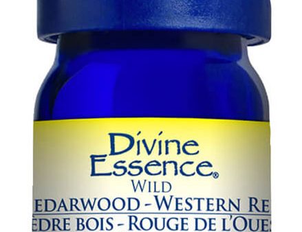 DIVINE ESSENCE Cedarwood - Western Red (Wild - 5 ml) Fashion