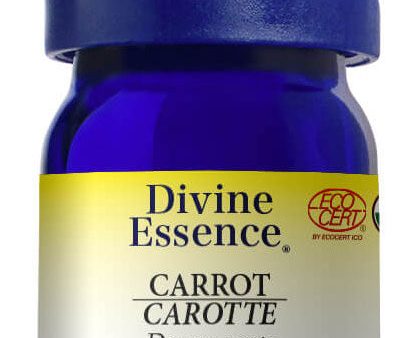 DIVINE ESSENCE Carrot (Organic - 5 ml) Cheap