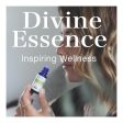 DIVINE ESSENCE Almond - Sweet (Organic - 30 ml) Online