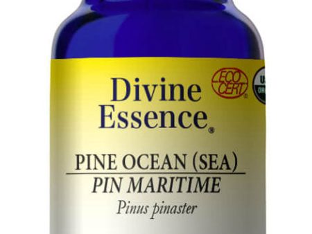 DIVINE ESSENCE Pine - Ocean (Sea - Organic - 15 ml) Fashion