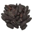 Tonquin   Tonka Beans Fashion