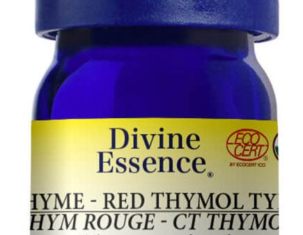 DIVINE ESSENCE Thyme Red - Thymol (Organic - 5 ml) Online now