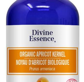 DIVINE ESSENCE Apricot Kernel (Organic - 100 ml) For Discount