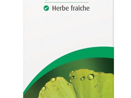 A. VOGEL Ginkgoforce  (50 ml) For Cheap