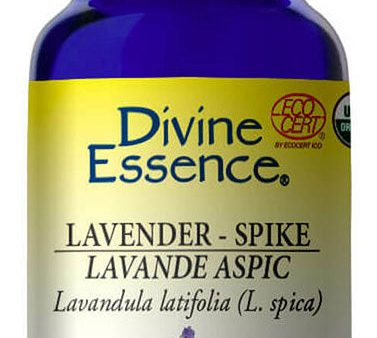 DIVINE ESSENCE Lavender - Spike (Organic - 100 ml) For Cheap