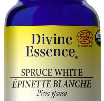 DIVINE ESSENCE Spruce - White (Organic - 15 ml) Online Sale