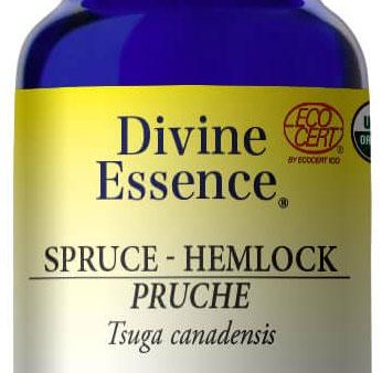 DIVINE ESSENCE Spruce - Hemlock (Organic - 15 ml) For Sale