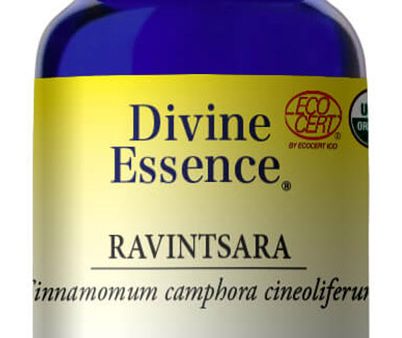 DIVINE ESSENCE Ravintsara (Organic - 15 ml) For Discount