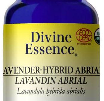 DIVINE ESSENCE Lavender Hybrid - Abrial (Organic - 15 ml) For Sale