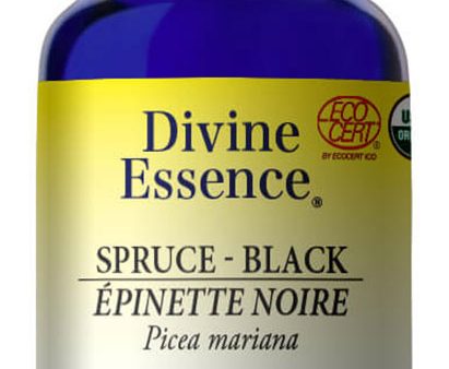 DIVINE ESSENCE Spruce - Black (Organic - 15 ml) Online