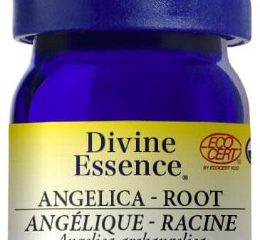 DIVINE ESSENCE Angelica - Root (Organic - 5 ml) Fashion