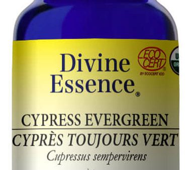 DIVINE ESSENCE Cypress - Evergreen (Organic - 15 ml) For Sale