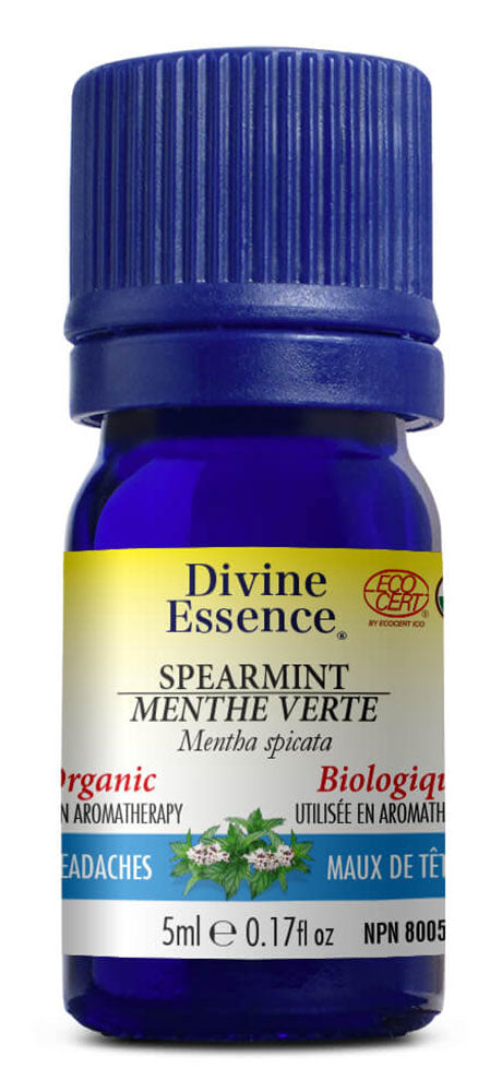 DIVINE ESSENCE Spearmint (Organic - 5 ml) Hot on Sale