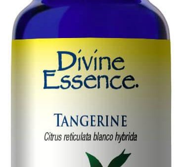 DIVINE ESSENCE Tangerine (Conventional - 15 ml) Fashion