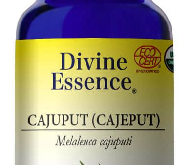 DIVINE ESSENCE Cajuput (Cajeput - Organic - 15 ml) Discount