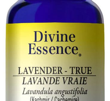 DIVINE ESSENCE Lavender - True - Kashmir (Conv - 15 ml) For Cheap