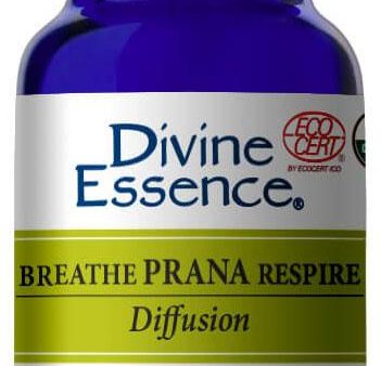 DIVINE ESSENCE Air Purifier - Breathe (Org - 110 ml) Sale