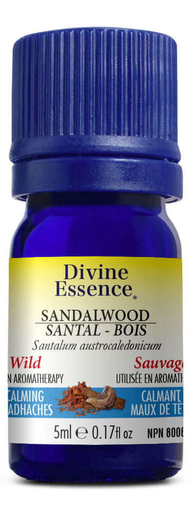 DIVINE ESSENCE Sandalwood (South Pacific - Wild - 5 ml) Discount