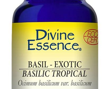 DIVINE ESSENCE Basil - Exotic (Organic - 15 ml) Hot on Sale