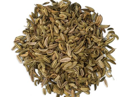 Organic Fennel Seeds Cheap