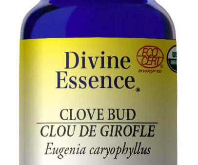 DIVINE ESSENCE Clove Bud (Organic - 100 ml) on Sale