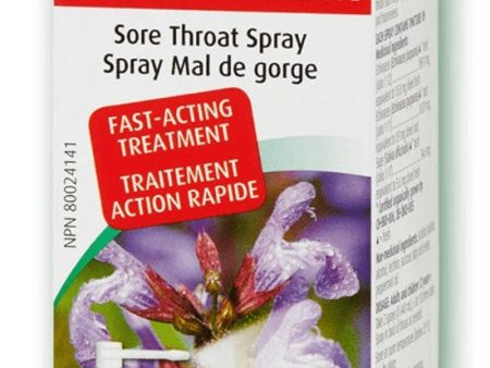 A. VOGEL Echinaforce Sore Throat Spray (30 ml) For Sale