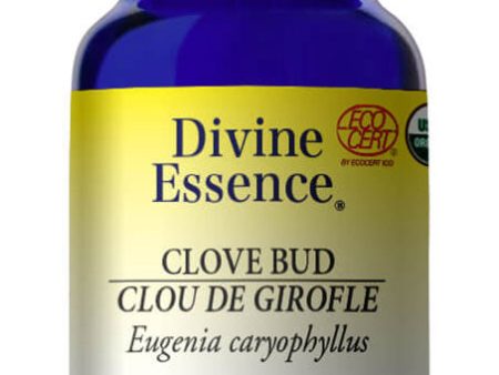 DIVINE ESSENCE Clove Bud (Organic - 15 ml) For Cheap