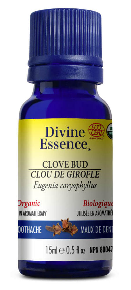 DIVINE ESSENCE Clove Bud (Organic - 15 ml) For Cheap