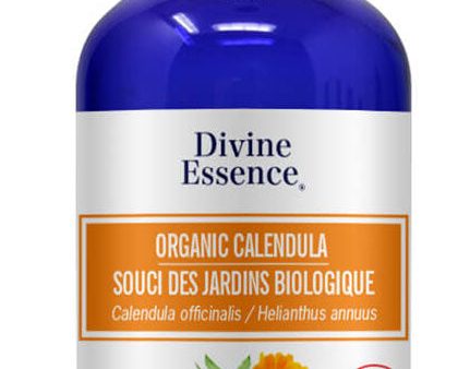 DIVINE ESSENCE Calendula (Organic - 100 ml) Online Sale