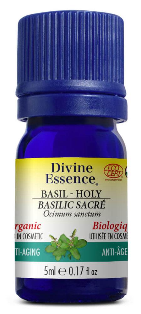 DIVINE ESSENCE Basil - Holy  (Organic - 5 ml) Online now