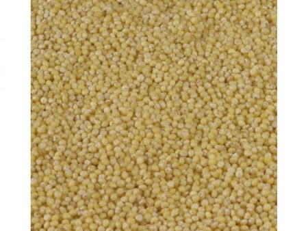 Millet ORGANIC For Discount